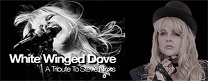 White Winged Dove – Stevie Nicks & Fleetwood Mac Tribute